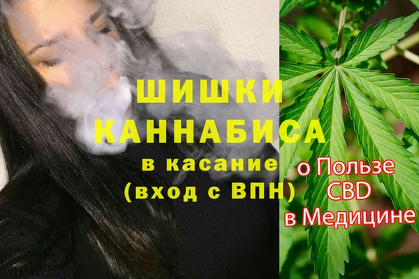 прущая мука Бородино