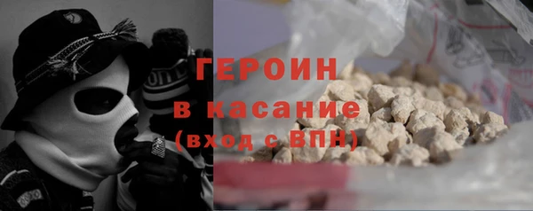 гидра Богородск