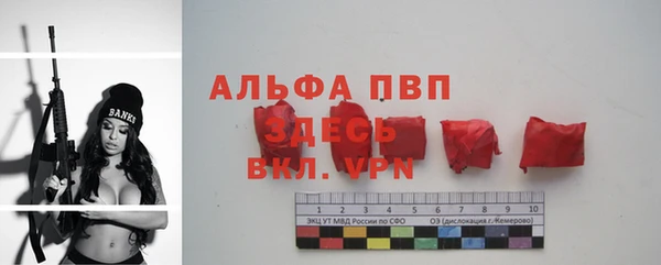 прущая мука Бородино