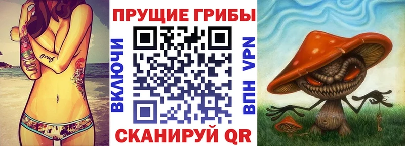 Галлюциногенные грибы ЛСД  Губкинский 